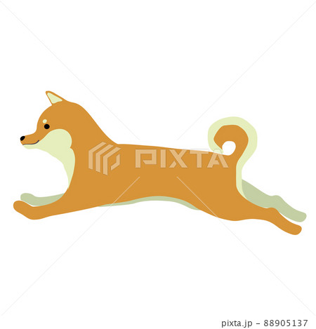 走る柴犬のイラスト素材のイラスト素材