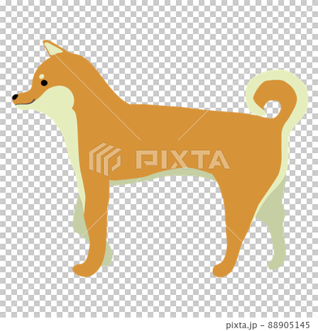 歩く柴犬のイラスト素材 88905145