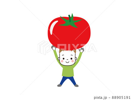 トマトを持ち上げる男の子 トマトを持ち上げる男の子 88905191