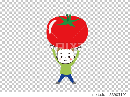 トマトを持ち上げる男の子 トマトを持ち上げる男の子 88905191