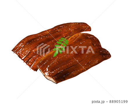 鰻の蒲焼　木の芽　リアル　単体　透過 88905199