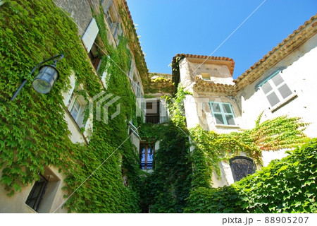 ツタに覆われた南フランスのアパートメント ツタに覆われた南フランスのアパートメント 88905207