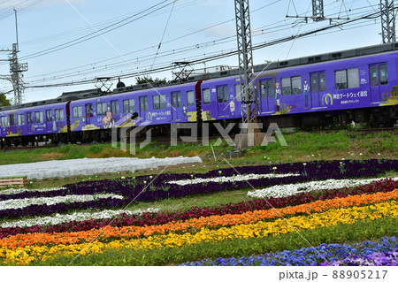 お花畑と近鉄電車 お花畑と近鉄電車 88905217