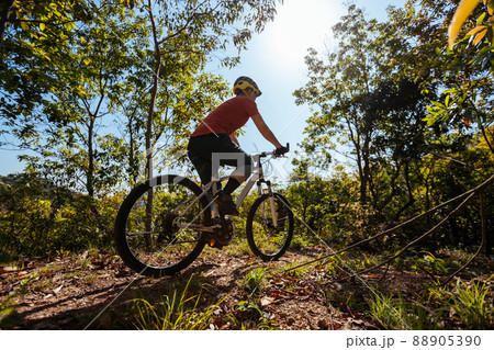 Mountain biking in spring forest Mountain biking in spring forest 88905390