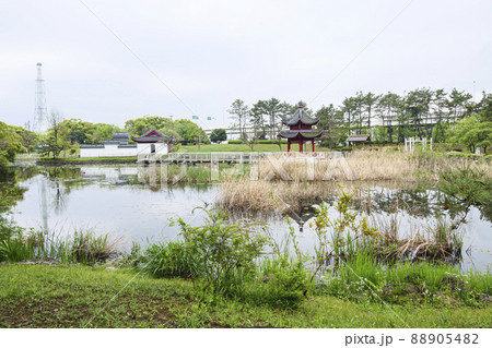 上海横浜友好園の春 88905482