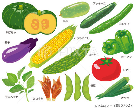 夏野菜セット 夏野菜セット 88907027