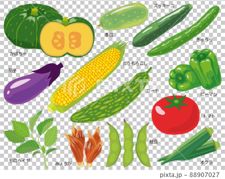 夏季蔬菜集 88907027