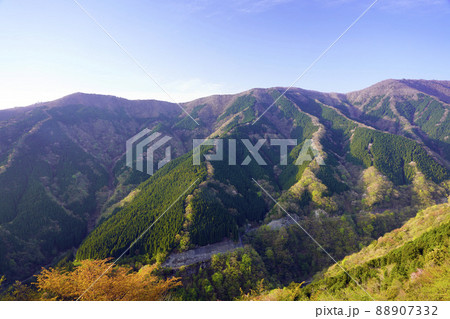 ナメゴ谷春風景 88907332