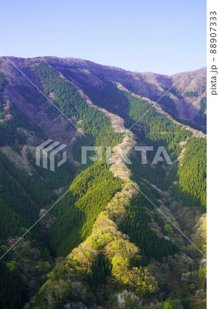 ナメゴ谷春風景 88907333