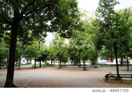 リンデンホフの丘（スイス・チューリヒ） 88907700