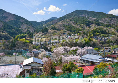 寄村の春風景《松田町》 寄村の春風景《松田町》 88909009