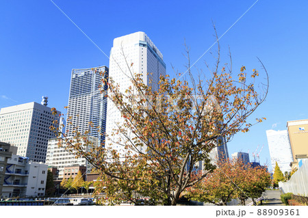 横浜(秋) 横浜(秋) 88909361