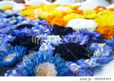 水面に浮かぶ色鮮やかな花手水 水面に浮かぶ色鮮やかな花手水 88909404