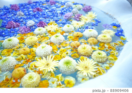 花手水 花手水 88909406