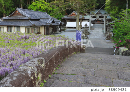 西寒田神社（大分市） 88909421