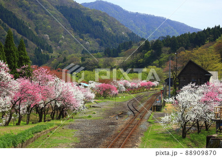 桃源郷の駅 桃源郷の駅 88909870