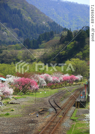 桃源郷の駅 88909871