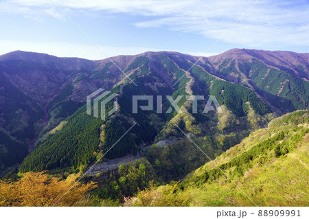 ナメゴ谷春風景 ナメゴ谷春風景 88909991