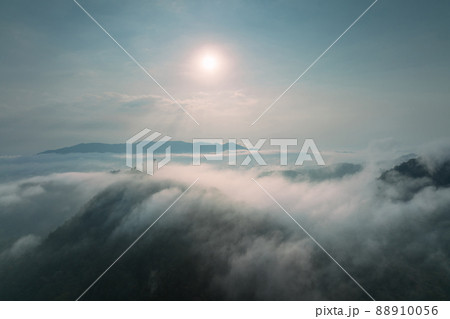 fog in the forest and transmission towers. 88910056