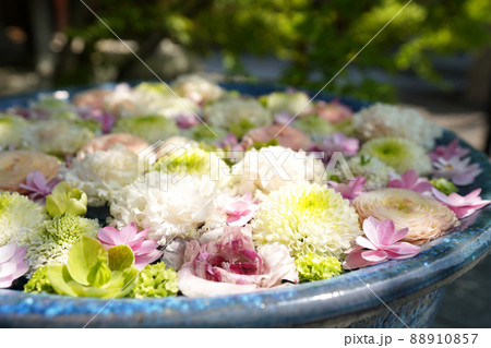 水面に浮かぶ色鮮やかな花手水 水面に浮かぶ色鮮やかな花手水 88910857
