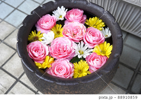 水面に浮かぶ色鮮やかな花手水 水面に浮かぶ色鮮やかな花手水 88910859