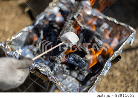 焚火でマシュマロを焼く 88911055