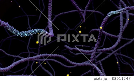 antibody cells destroy tumor cells 88911247