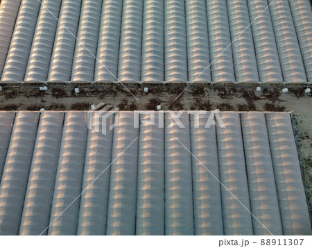 Aerial drone view of huge areas greenhouse for growing vegetables. Greenhouse farming, agriculture industry. Flying over large industrial greenhouses at sunset. 88911307