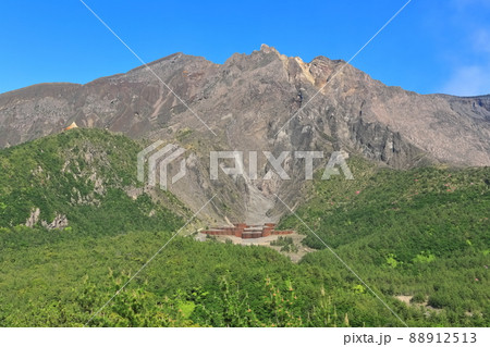 【鹿児島県】湯之平展望所から見た桜島 88912513
