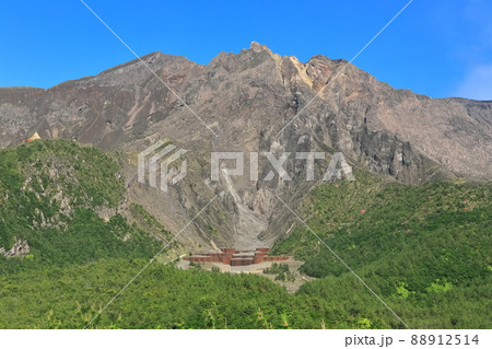 【鹿児島県】湯之平展望所から見た桜島 88912514