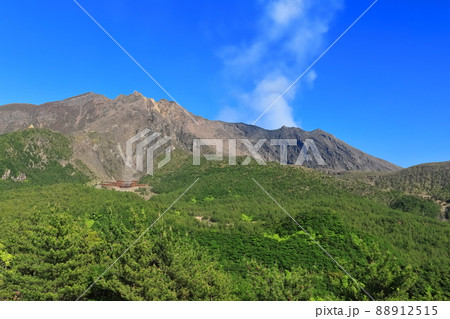 【鹿児島県】湯之平展望所から見た桜島 88912515