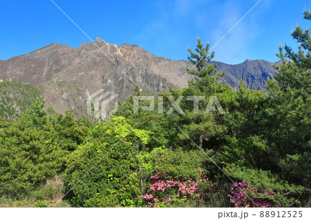 【鹿児島県】湯之平展望所から見た桜島 88912525
