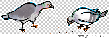 A transparent background illustration with a white frame where two rock pigeons are eating food A transparent background illustration with a white frame where two rock pigeons are eating food 88913320