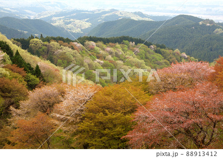 山笑う御亭山 88913412