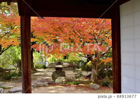 大分県杵築市 大原邸の庭園 大分県杵築市 大原邸の庭園 88913677