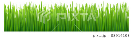 Green grass seamless pattern. Eco nature border 88914103