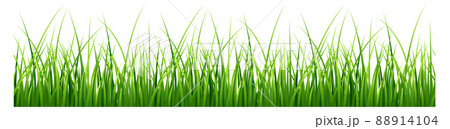 Realistic green grass. Natural field seamless border Realistic green grass. Natural field seamless border 88914104