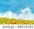 満開のひまわり畑と青空 88914184