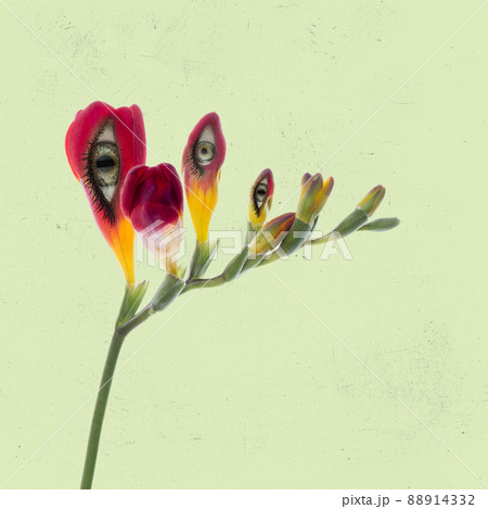 Contemporary art collage with flowers with an eyes inside it on light background. Modern design. Creative conceptual and colorful poster. Beauty, art, vision 88914332