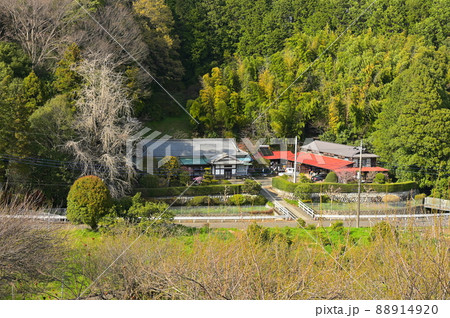 春の田舎風景《南足柄市》 88914920