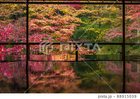 京都瑠璃行員瑠璃光院の紅葉を撮影 88915039