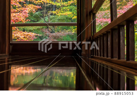京都瑠璃行員瑠璃光院の紅葉を撮影 京都瑠璃行員瑠璃光院の紅葉を撮影 88915053