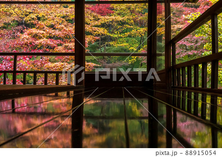 京都瑠璃行員瑠璃光院の紅葉を撮影 88915054