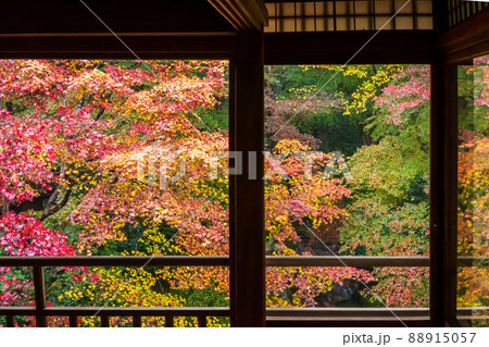 京都瑠璃行員瑠璃光院の紅葉を撮影 88915057