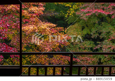 京都瑠璃行員瑠璃光院の紅葉を撮影 京都瑠璃行員瑠璃光院の紅葉を撮影 88915059
