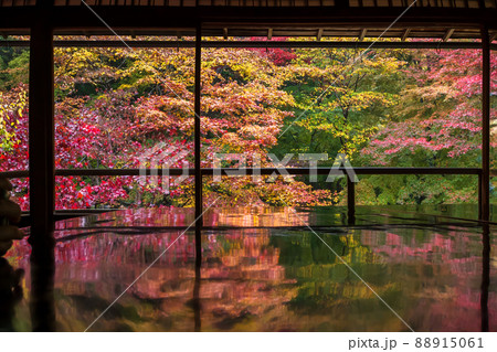京都瑠璃行員瑠璃光院の紅葉を撮影 88915061
