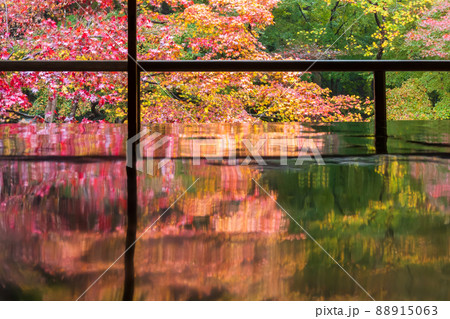京都瑠璃行員瑠璃光院の紅葉を撮影 京都瑠璃行員瑠璃光院の紅葉を撮影 88915063