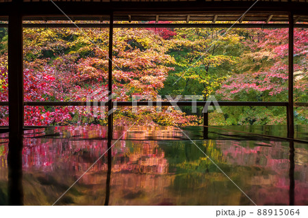 京都瑠璃行員瑠璃光院の紅葉を撮影 88915064