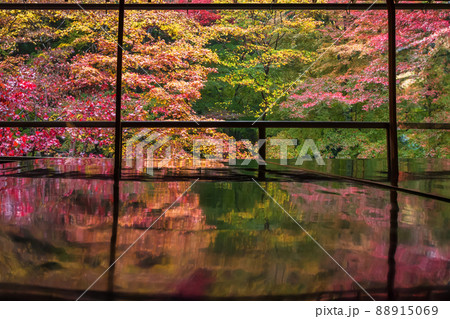 京都瑠璃行員瑠璃光院の紅葉を撮影 88915069