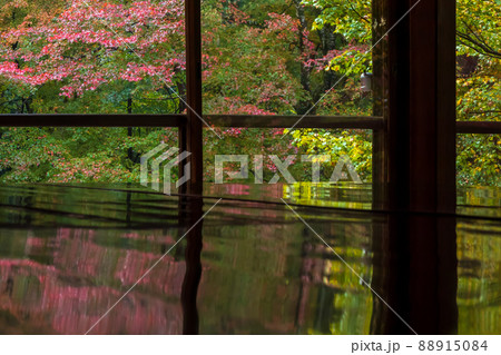 京都瑠璃行員瑠璃光院の紅葉を撮影 88915084